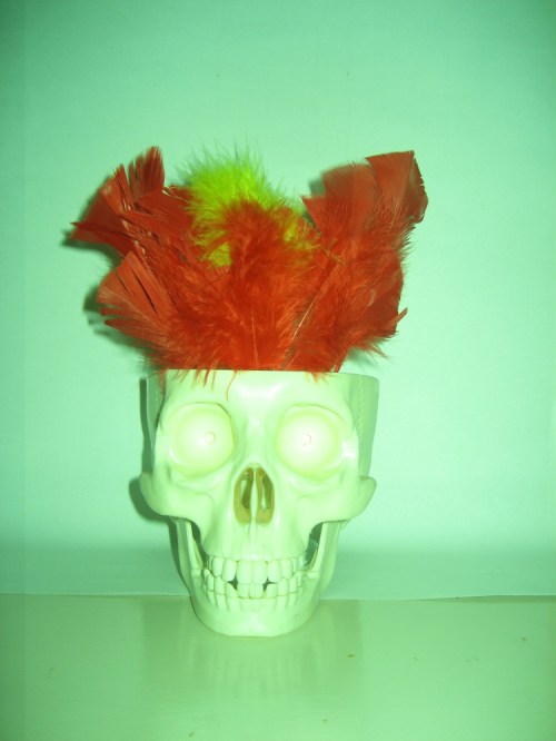 Small_skull_feathers
